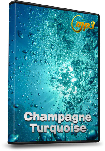 Champagne Turquoise: Give Your Amazing Energy Body Some Love! Silvia Hartmann