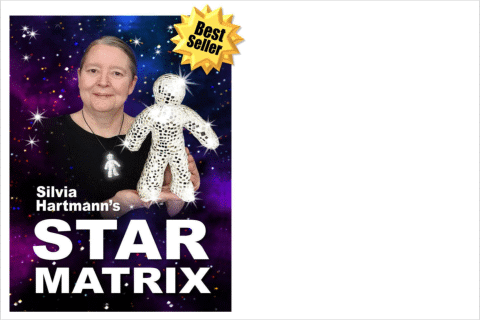 Star Matrix Is Life Changing by Silvia Hartmann